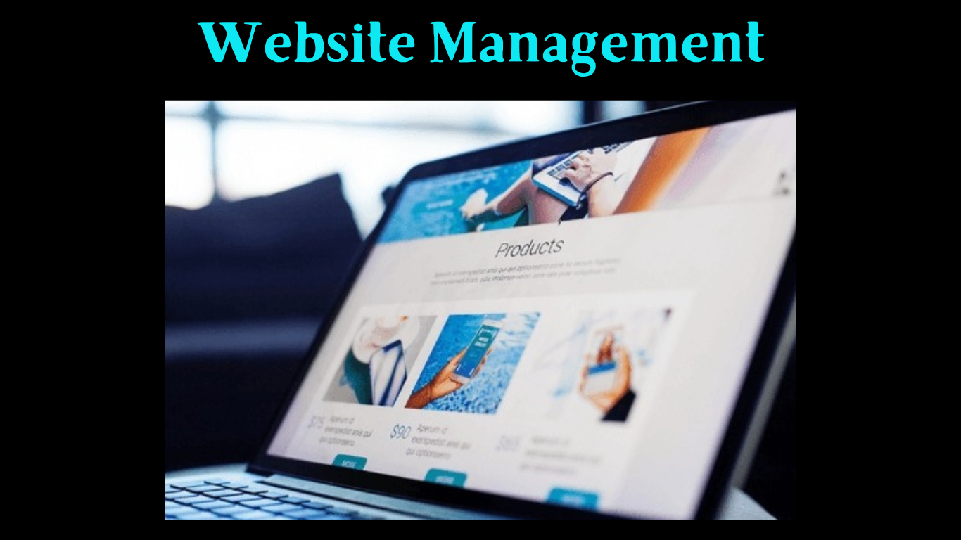 Website Management