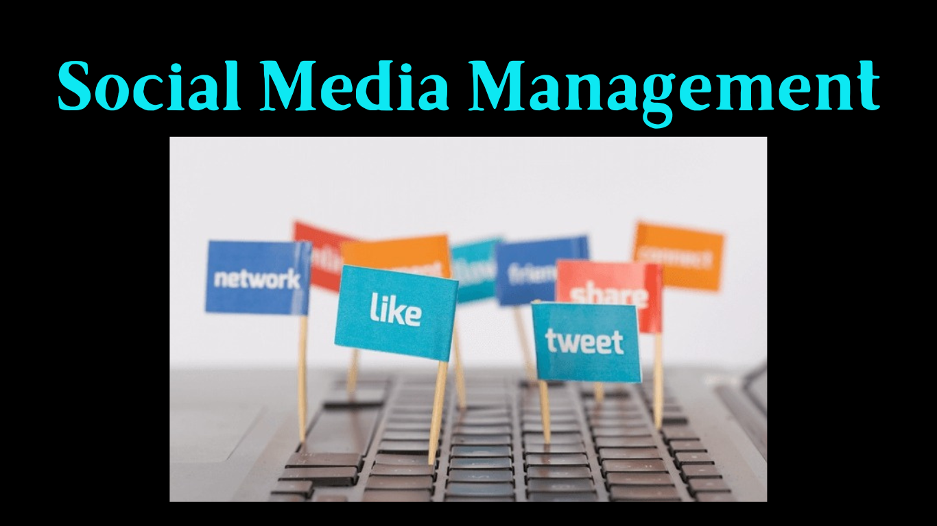 Social Media Management Packages