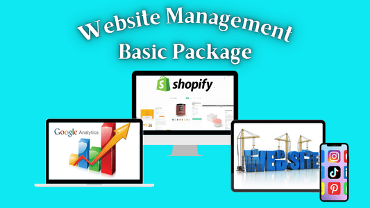 Website Manager Basic Package