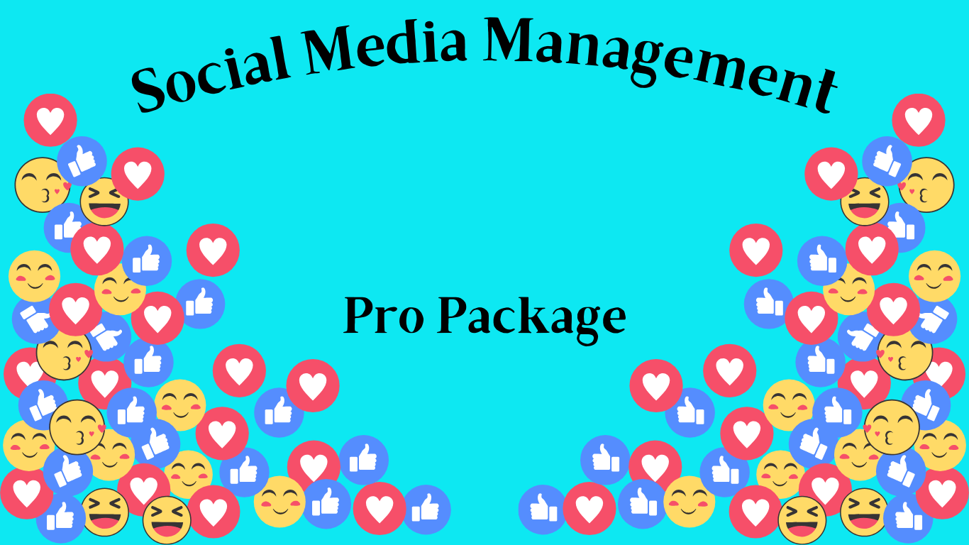 Social Media Management Pro Package